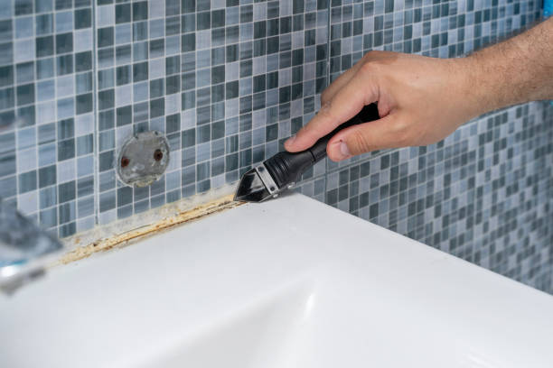Best Best Mold Removal Companies  in Council Grove, KS