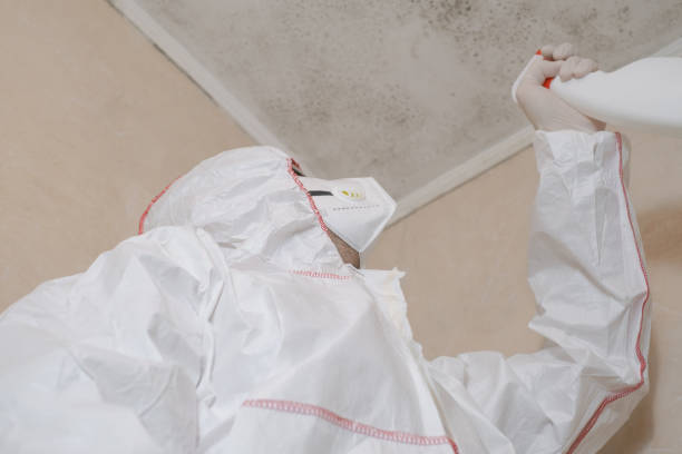 Best Professional Mold Removal  in Council Grove, KS