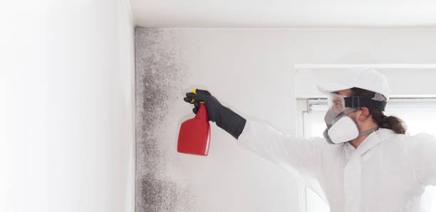 Best Commercial Mold Removal  in Council Grove, KS